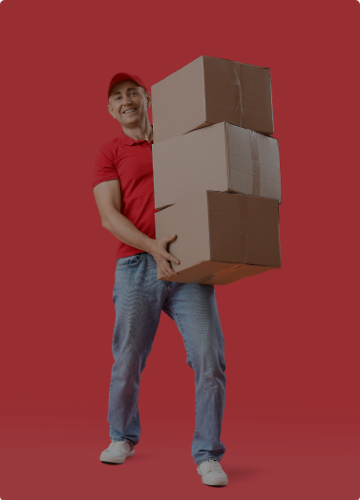 System intranetowy dla TNT Express