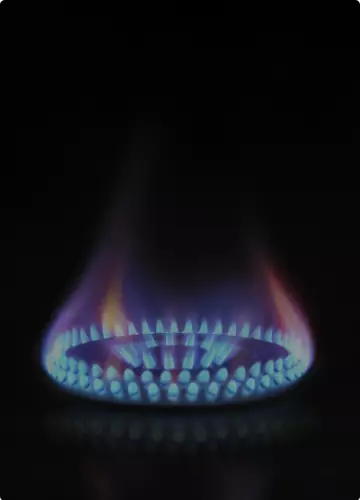 System Zarządzania Zgłoszeniami Klientów dla PGNiG