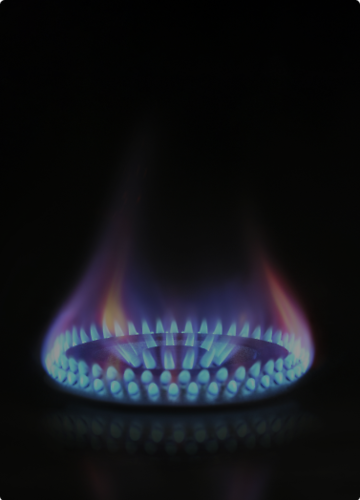 System Zarządzania Zgłoszeniami Klientów dla PGNiG