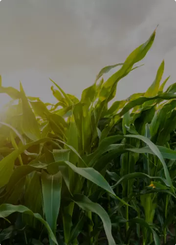 Multiportal Agropolska.pl