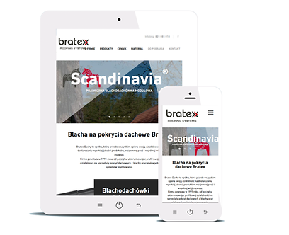 Serwis internetowy dla Bratex