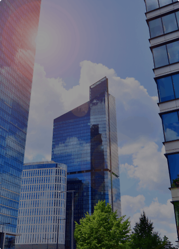 Platforma Distance Learning dla Gegenbauer Polska Sp. z o.o.