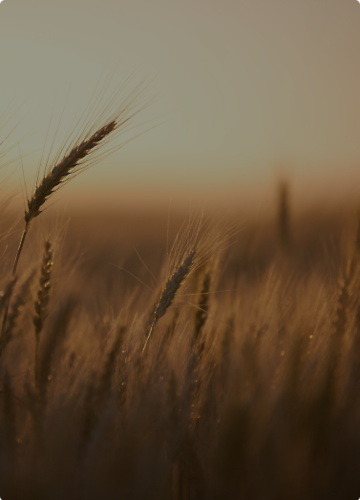 System Logito z modułami obiegu dokumentów finansowych dla Westpol-Teeuwissen System Logito z modułami obiegu dokumentów finansowych dla Westpol-Teeuwissen