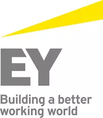 Wdrożenie intranetu dla Ernst&Young oraz Polskiej Wytwórni Papierów Wartościowych