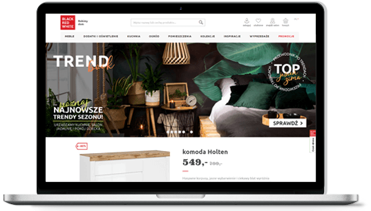 Sklepy internetowe | Profesjonalne wdrożenia e-commerce